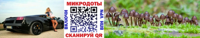 Псилоцибиновые грибы MAGIC MUSHROOMS  Губкинский 