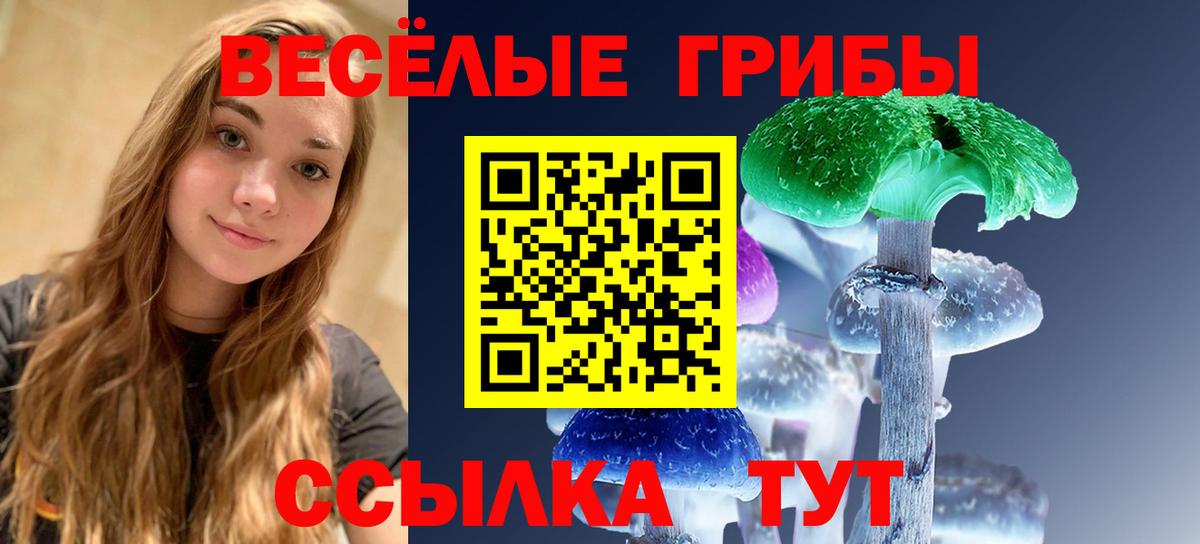 Псилоцибиновые грибы Cubensis Губкинский