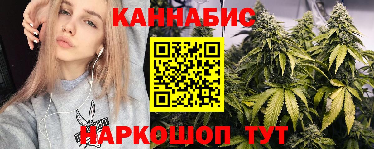 Каннабис семена Губкинский